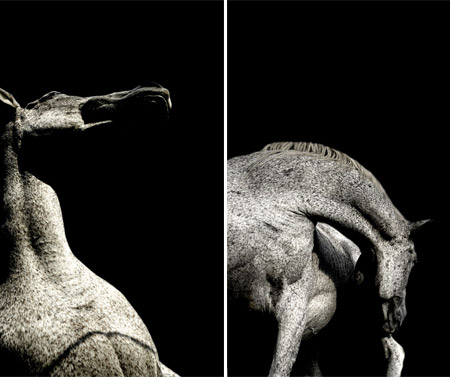 art-cheval-01