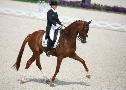 dressage