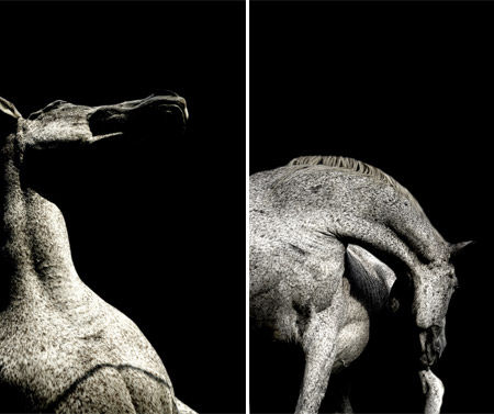 art-cheval-01