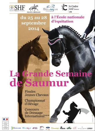 grande sem de dressage affiche