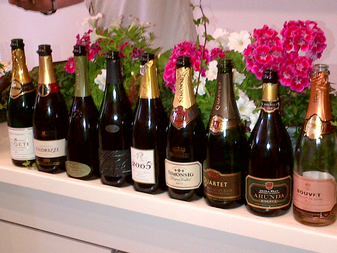 VINOCAMP 2013 1
